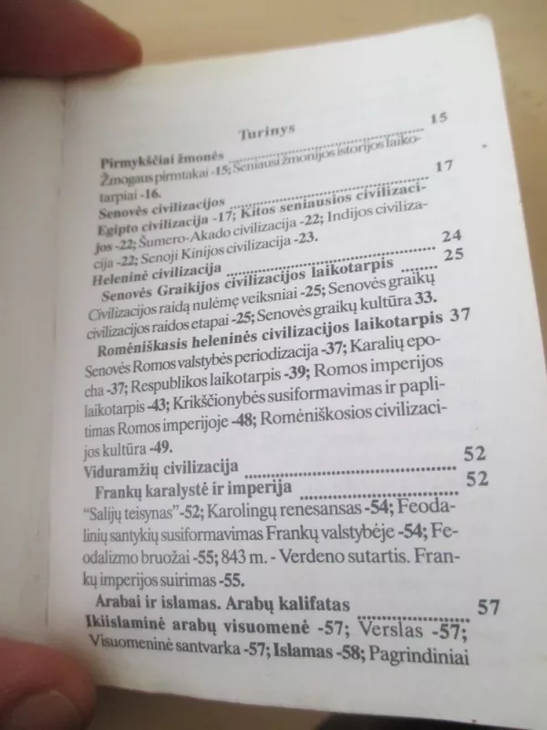 Istorija. Trumpas istorijos kursas - Audronė Petrauskaitė, knyga 6