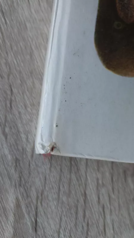 Kelionė į Tandadriką - Vytautė Žilinskaitė, knyga 3