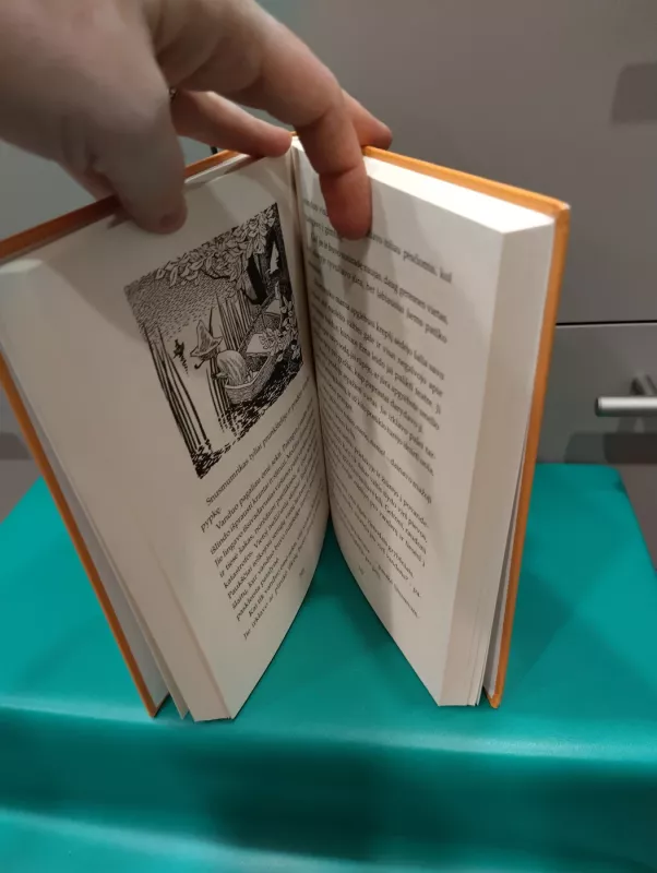 Troliai Mumiai: Baisus vidurvasaris. Stebuklinga žiema - Tove Jansson, knyga 3