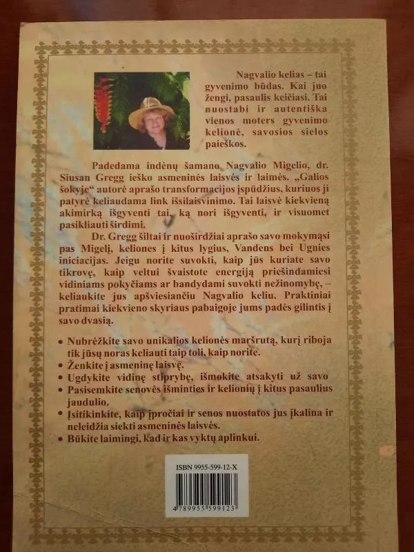 Galios šokis: šamaniška kelionė - Susan Gregg, knyga 3