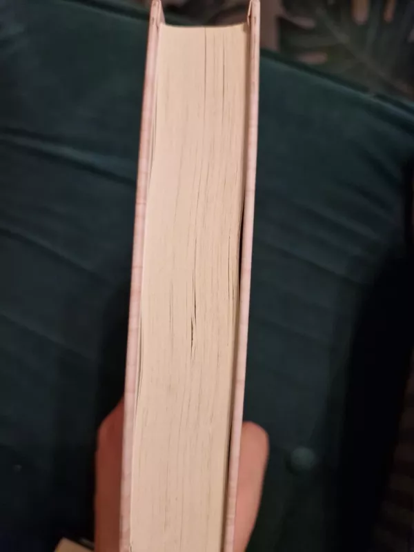 Mes dedame tašką - Colleen Hoover, knyga 5