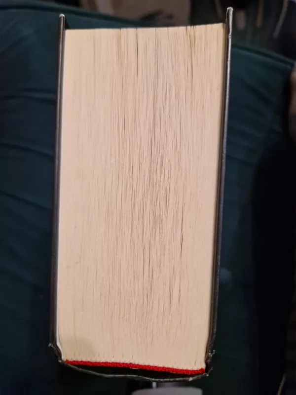 Tas - Stephen King, knyga 4