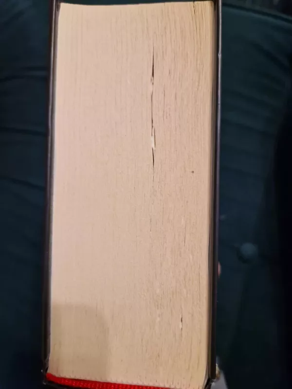 Tas - Stephen King, knyga 5