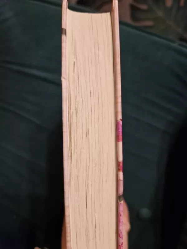 Mes dedame tašką - Colleen Hoover, knyga 4