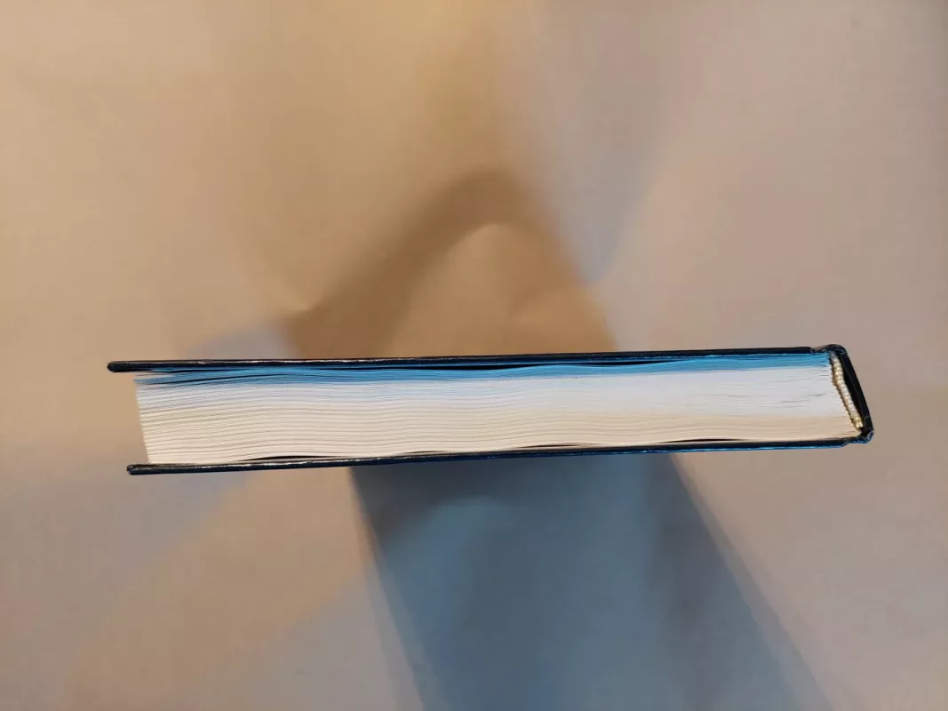 SS nuo gatvės kovotojų iki daugiagalvės hidros - Gordonas Viljamsonas, knyga 4