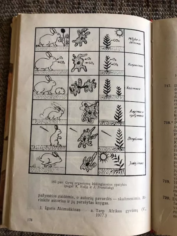 Zoologijos užduotys VII – VIII klasei (Knyga mokytojams. Mokomoji priemonė) - S. Molis, S. Molis, knyga 6