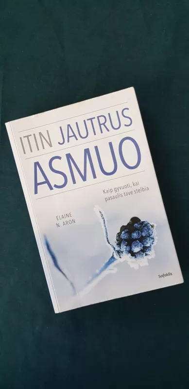 Itin jautrus asmuo. Kaip gyvuoti, kai pasaulis tave stelbia - N. Aron Elaine, knyga 2