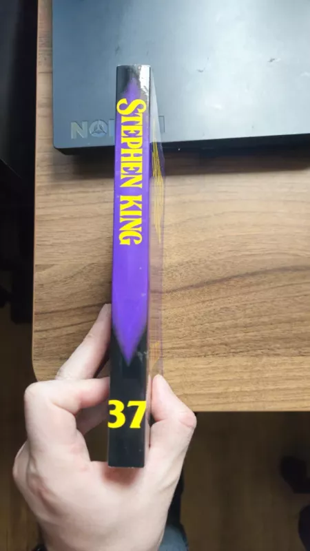 Doloresa Kleiborn - Stephen King, knyga 4