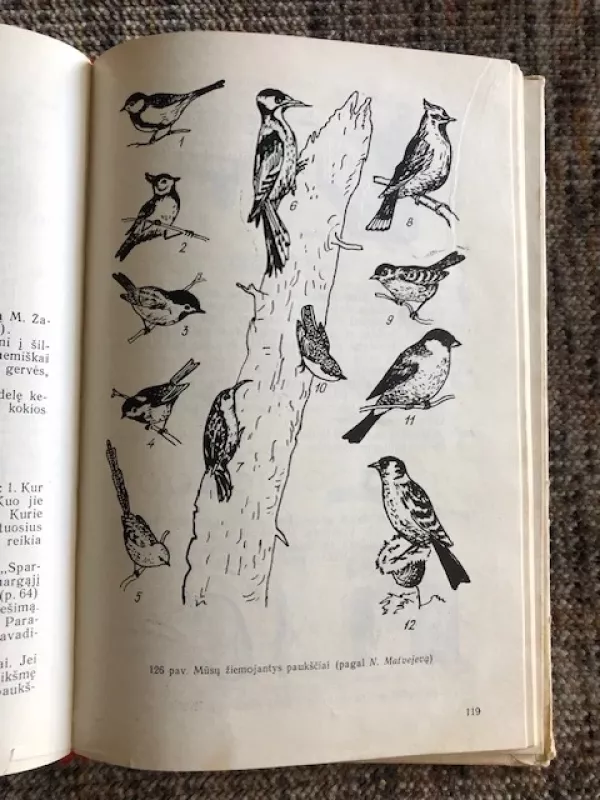Zoologijos užduotys VII – VIII klasei (Knyga mokytojams. Mokomoji priemonė) - S. Molis, S. Molis, knyga 5