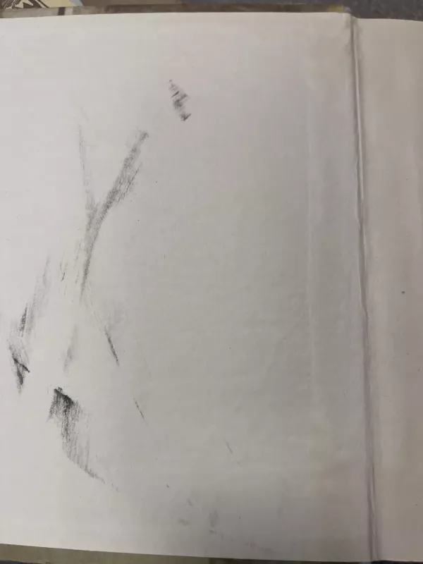 Karalius Motiejukas Pirmasis - Janušas Korčakas, knyga 5