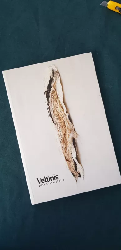 Veltinis - Viltė Kazlauskaitė, knyga 2