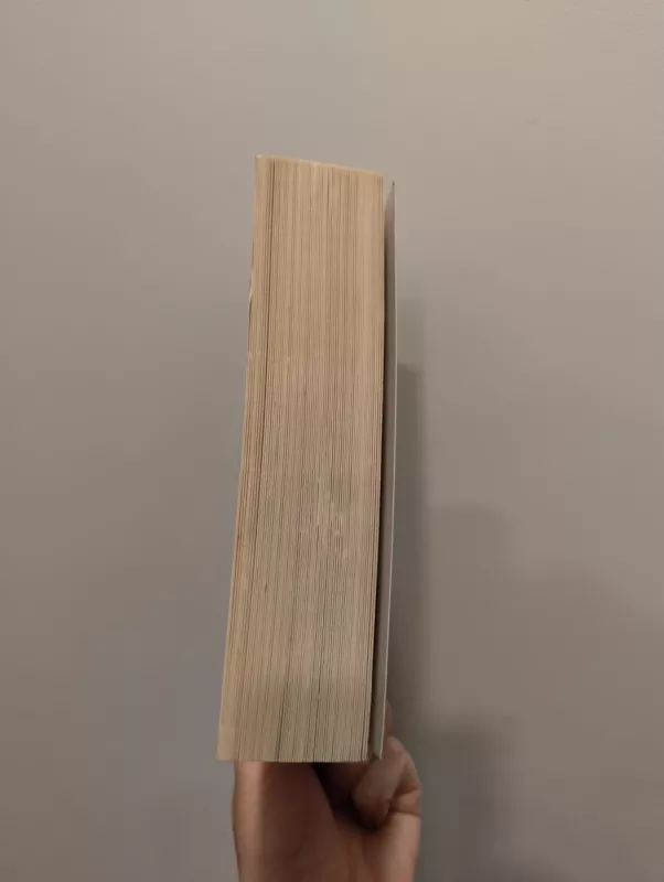 Mega Giga. Donaldas ir kiti. Vikingai - Disney, knyga 5