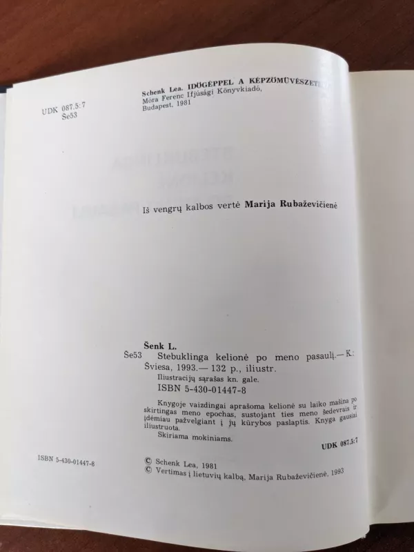 Stebuklinga kelionė po meno pasaulį - Lea Šenk, knyga 4