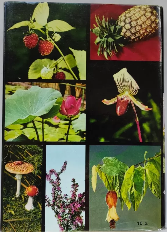 Enciklopedijų rinkinys - nenurodytas, knyga 5