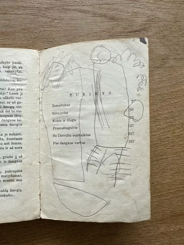 Raganius - Vincas Krėvė, knyga 6