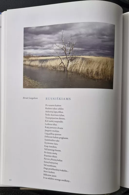 Rusne, meile mano - Aušra Šlažienė, knyga 5