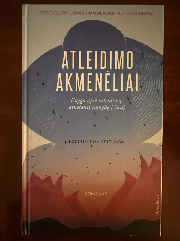 Atleidimo akmenėliai: bestselerio „Gyvenimo planas“ autorės knyga - Lori Nelson Spielman, knyga 2