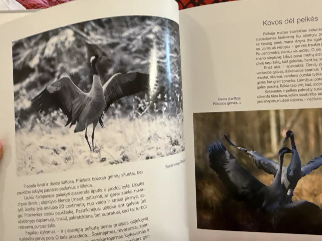 Metai: gamtos fotografo dienoraštis - Marius Čepulis, knyga 4