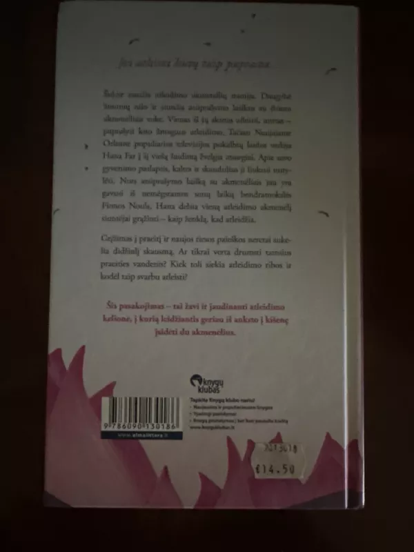 Atleidimo akmenėliai: bestselerio „Gyvenimo planas“ autorės knyga - Lori Nelson Spielman, knyga 3