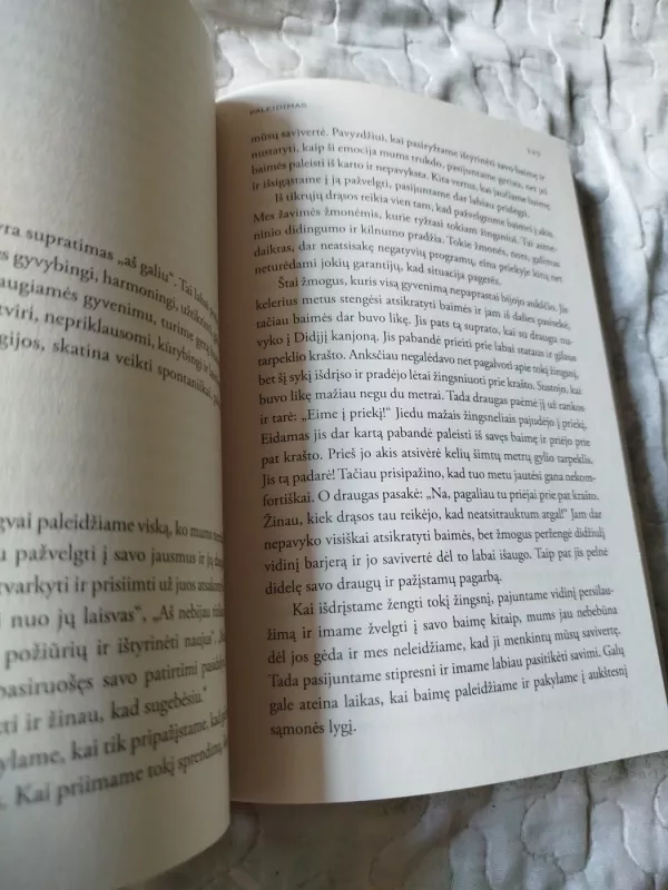 PALEIDIMAS. Atsidavimo ir susitaikymo kelias - David R. Hawkins, knyga 4