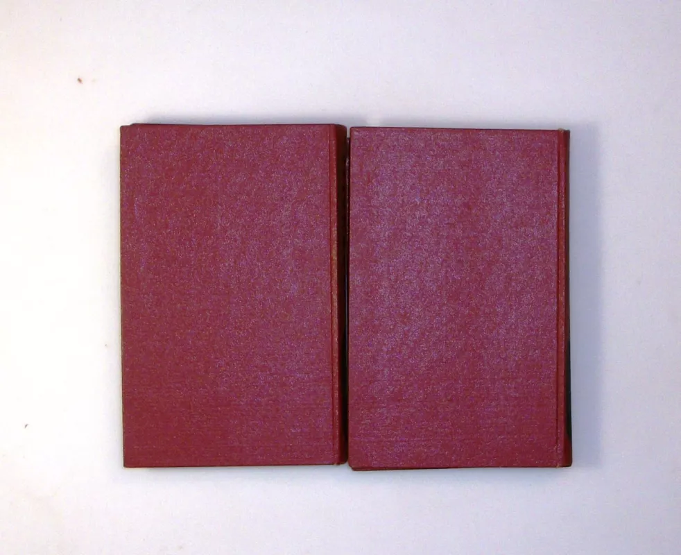 Jaunuolis I-II tomai - Fiodoras Dostojevskis, knyga 6