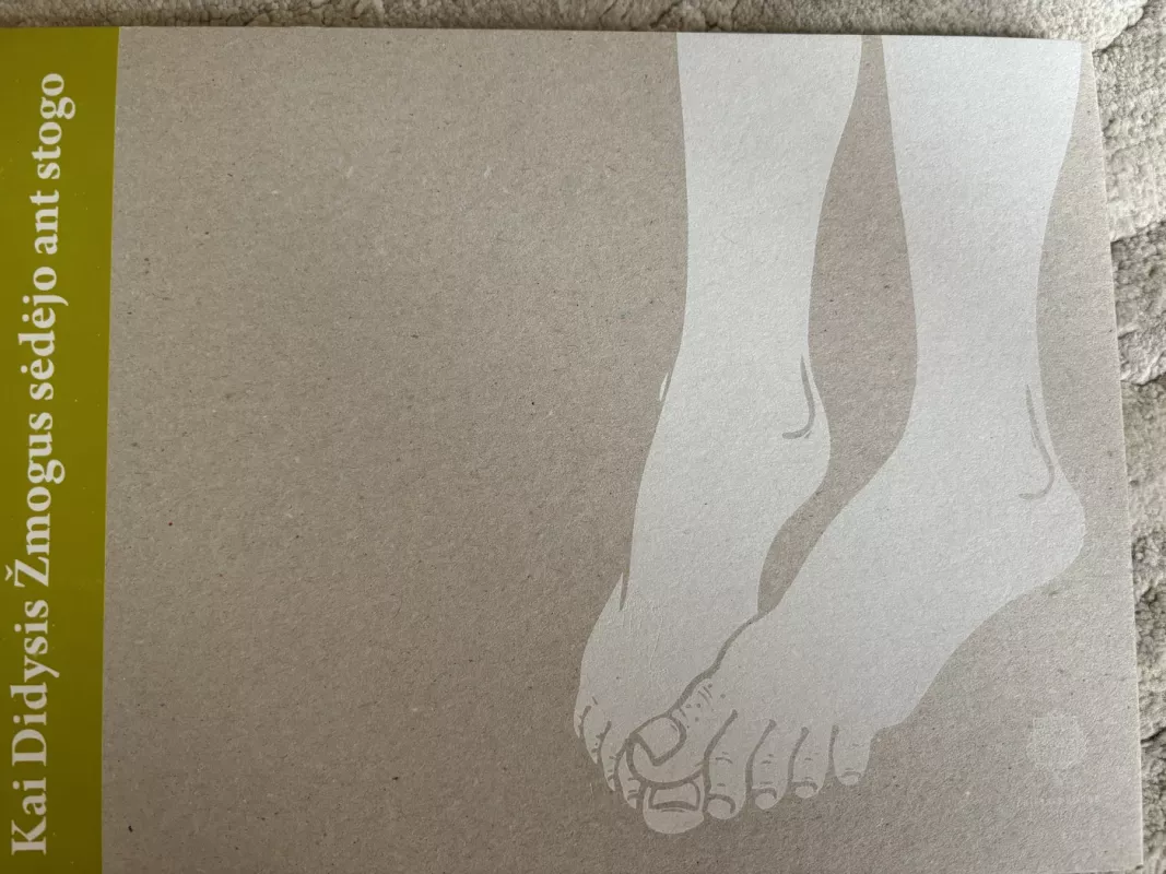 Kaip Disysis Žmogus sėdėji ant stogo - Radvilė Morkūnaitė, knyga 2