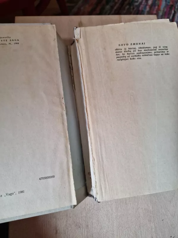 Forsaitų saga (2 tomai) - Džonas Golsvortis, knyga 4