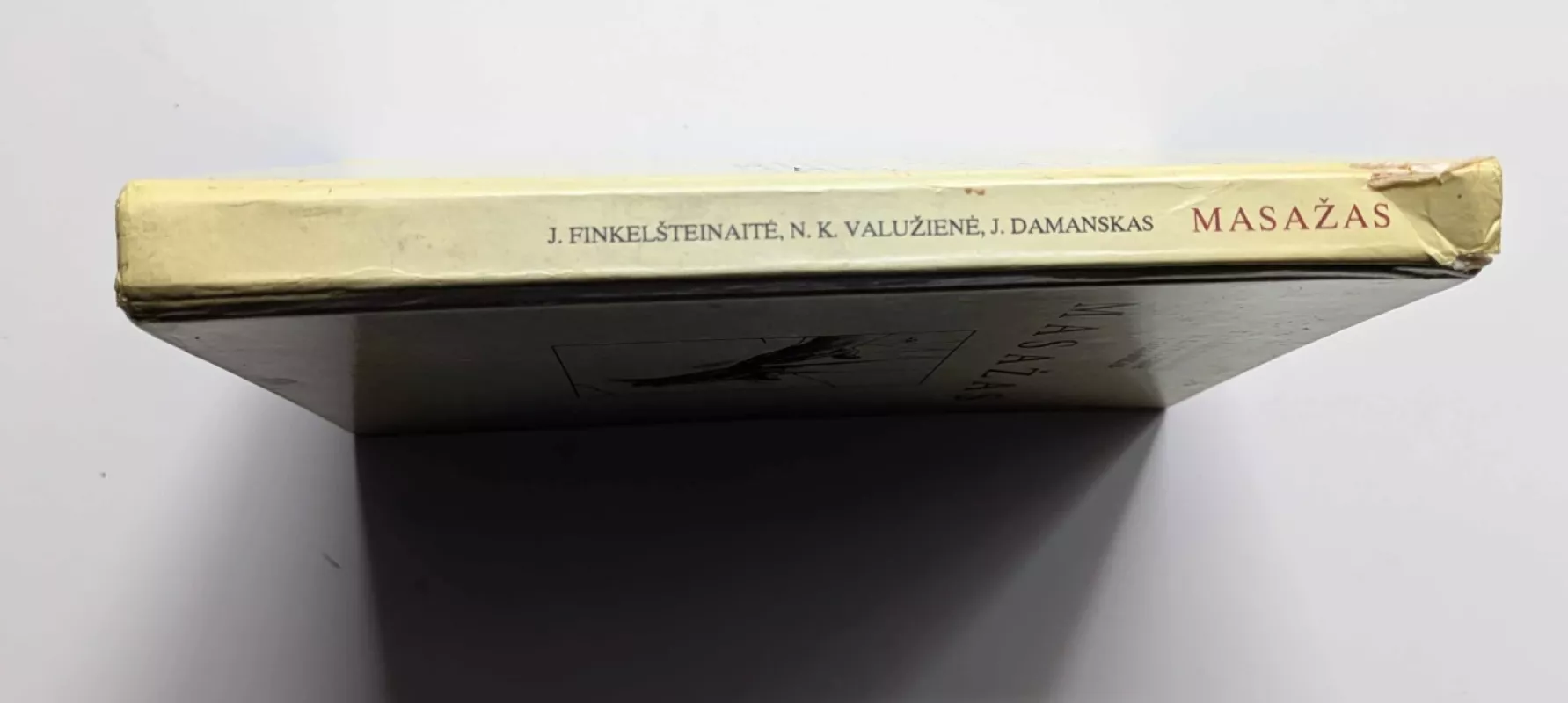 Masažas 1995 - J. Finkelšteinaitė, knyga 5