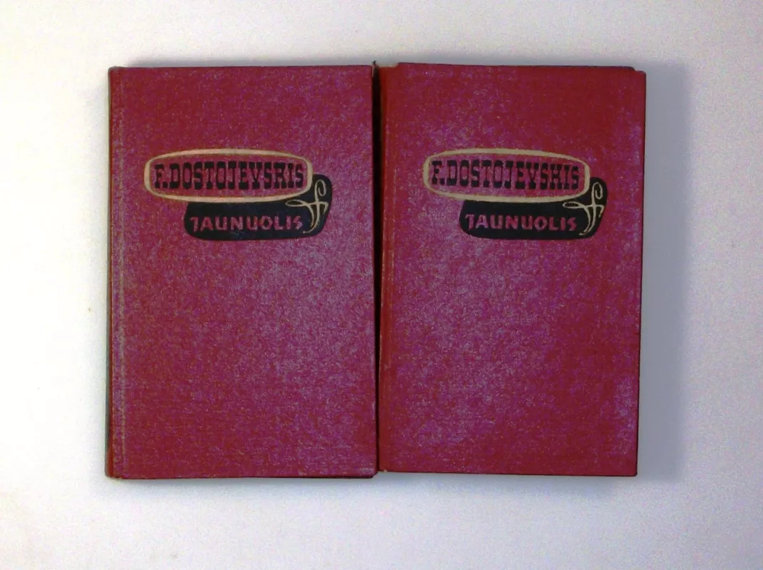 Jaunuolis I-II tomai - Fiodoras Dostojevskis, knyga 2