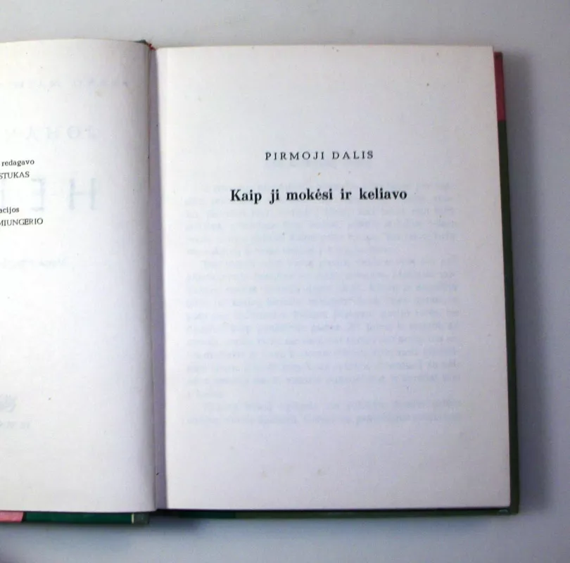 Heida - Johana Spiri, knyga 6