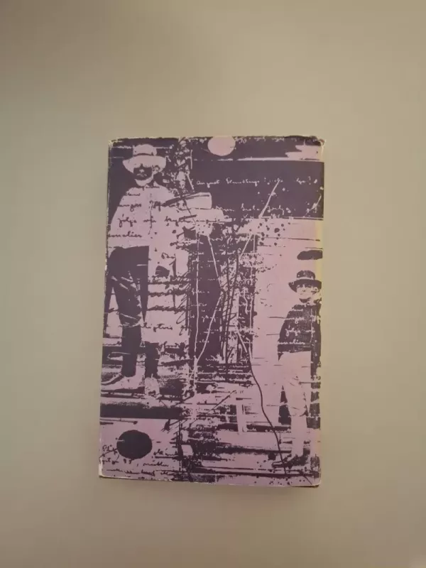 Raudonasis kambarys. Hemsio salos žmonės - August Strindberg, knyga 3