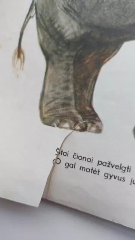 Šitoje knygutėj - ir drambliai, ir liūtai - Vladimiras Majakovskis, knyga 3