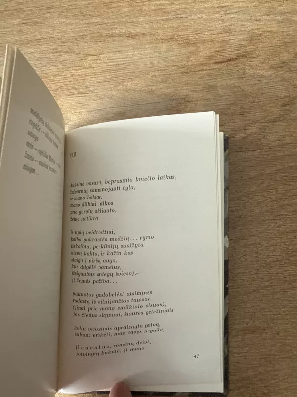 26 rudens ir vasaros giesmės - Sigitas Geda, knyga 6