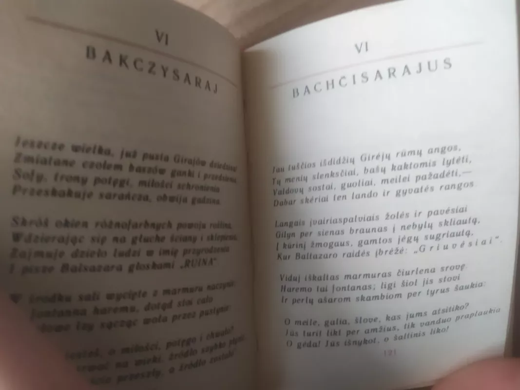 Poezija - Adomas Mickevičius, knyga 4