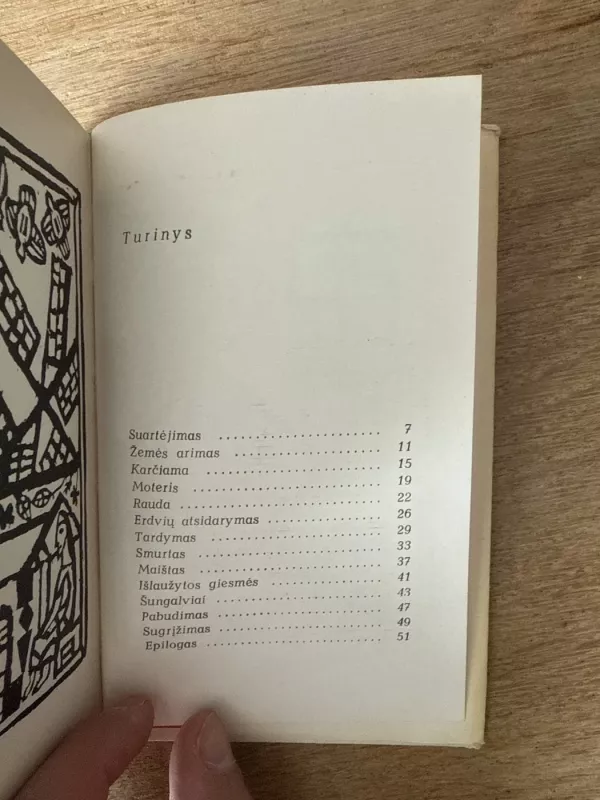 Strazdas - Sigitas Geda, knyga 6