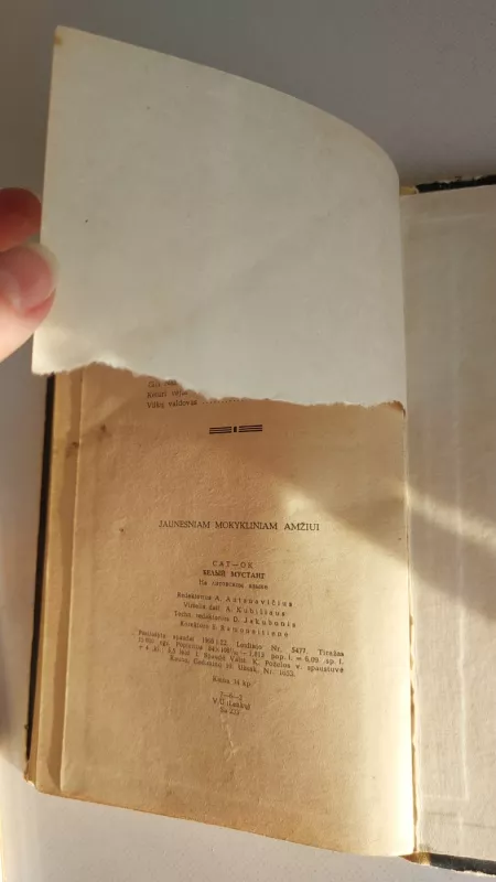 Baltasis mustangas - Autorių Kolektyvas, knyga 4