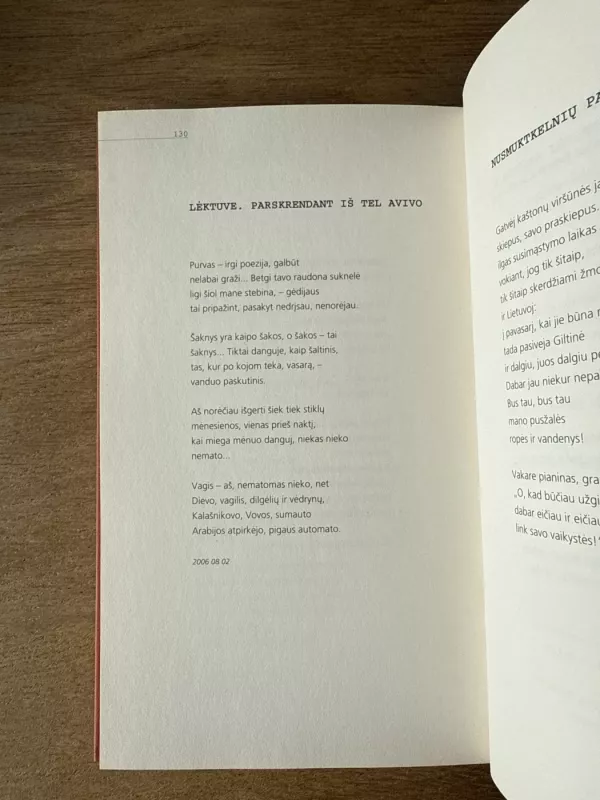 Daugiau nevaidinsiu Sofoklio - Sigitas Geda, knyga 6