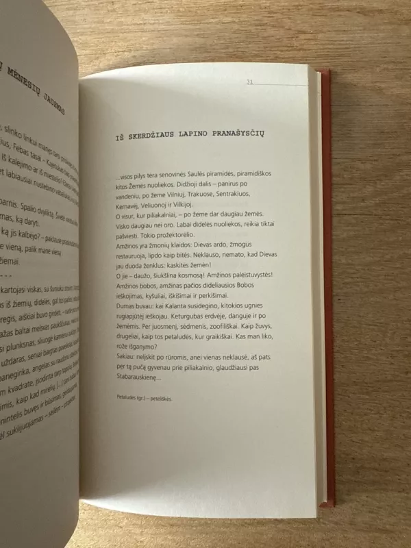 Daugiau nevaidinsiu Sofoklio - Sigitas Geda, knyga 4