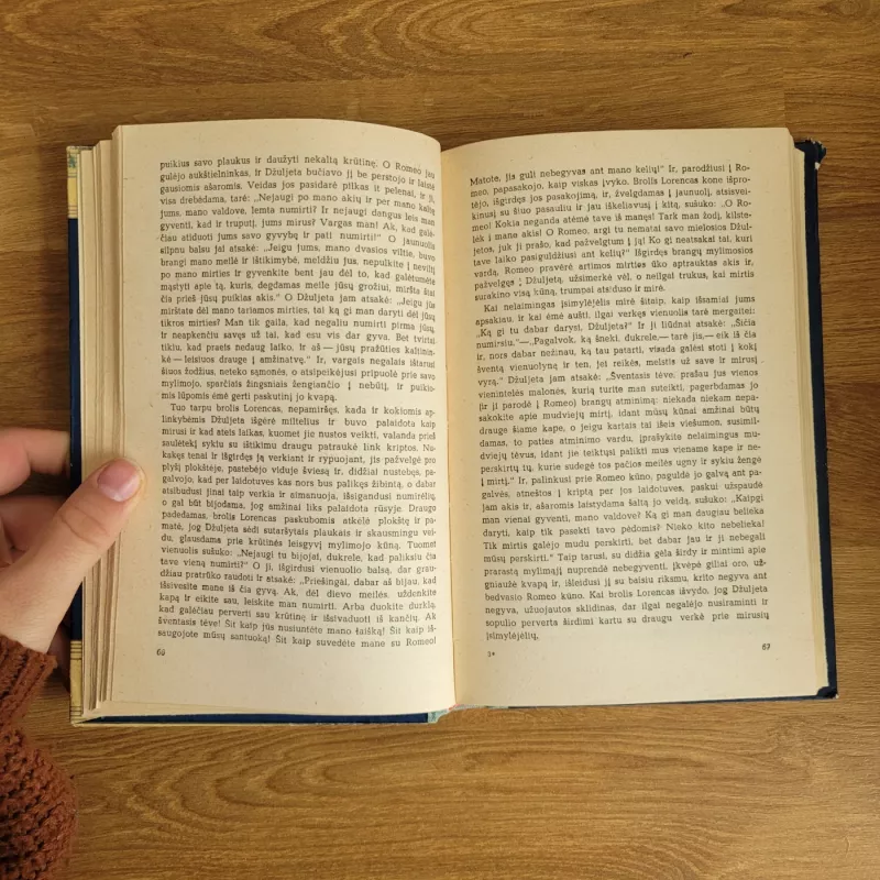 Renesanso novelės - Autorių Kolektyvas, knyga 5