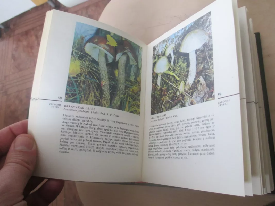 Grybai - V Urbonas, knyga 5