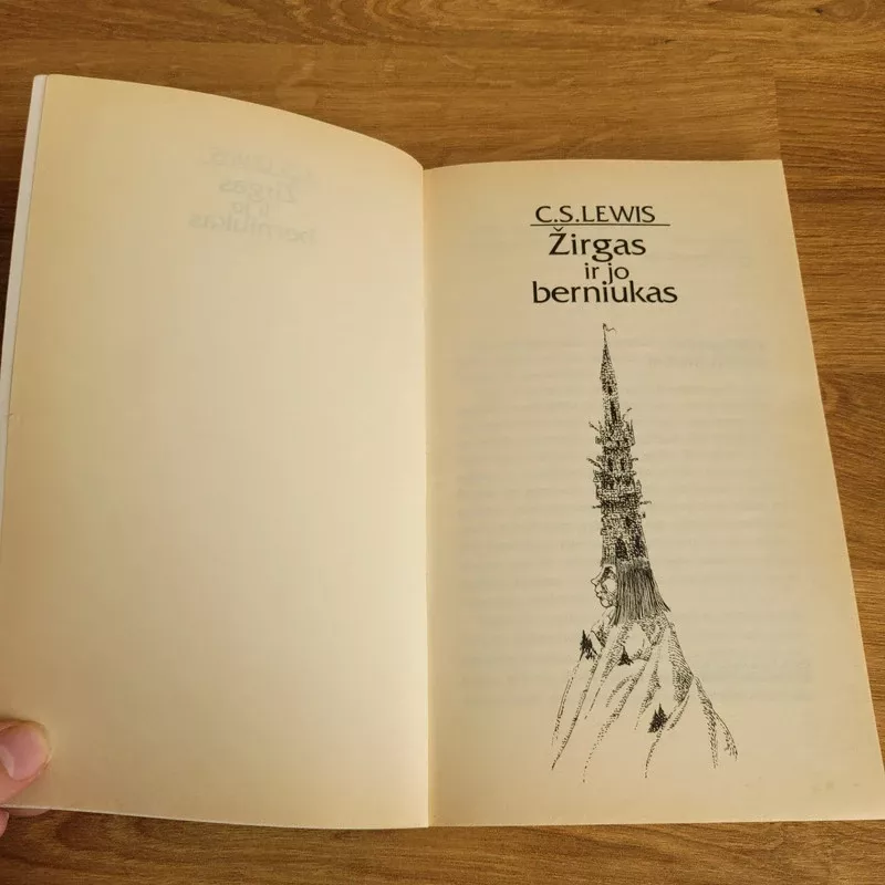 Žirgas ir jo berniukas - Clive Staples Lewis, knyga 5