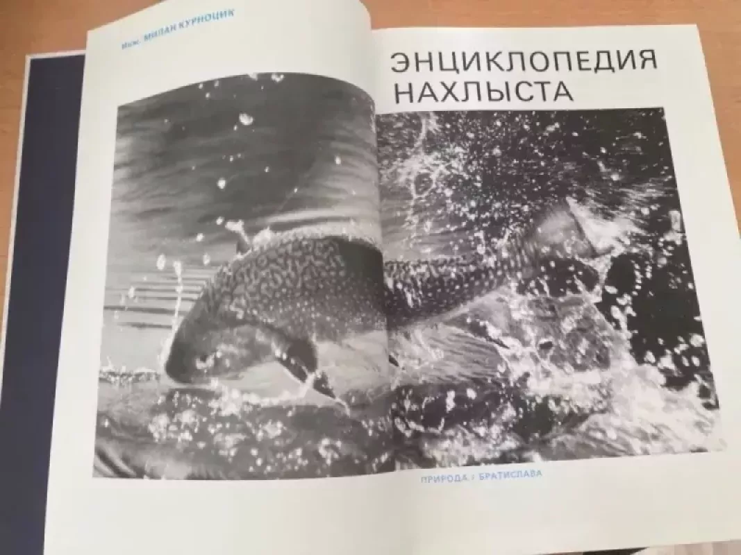 Muselinės žūklės enciklopedija / Encyklopedija nahlysta - Milan Kurnocik, knyga 5