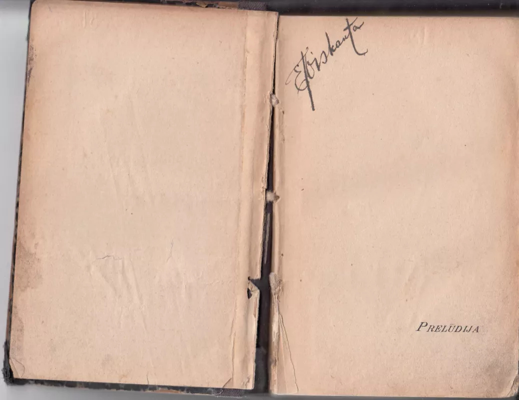 RAŠTAI - Vincas Mykolaitis-Putinas, knyga 3