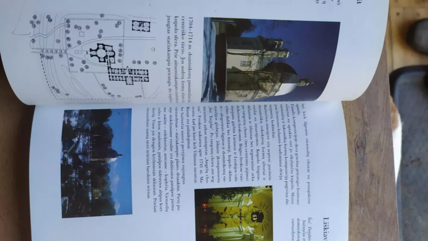 Barokas Lietuvoje - Irena Vaišvilaitė (įvado autorė), Arūnas Sverdiolas (sudarytojas), Tojana Račiūnaitė (komentarų autorė), knyga 5