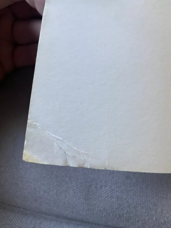 Chaoso formos (149) - Colin Capp, knyga 4