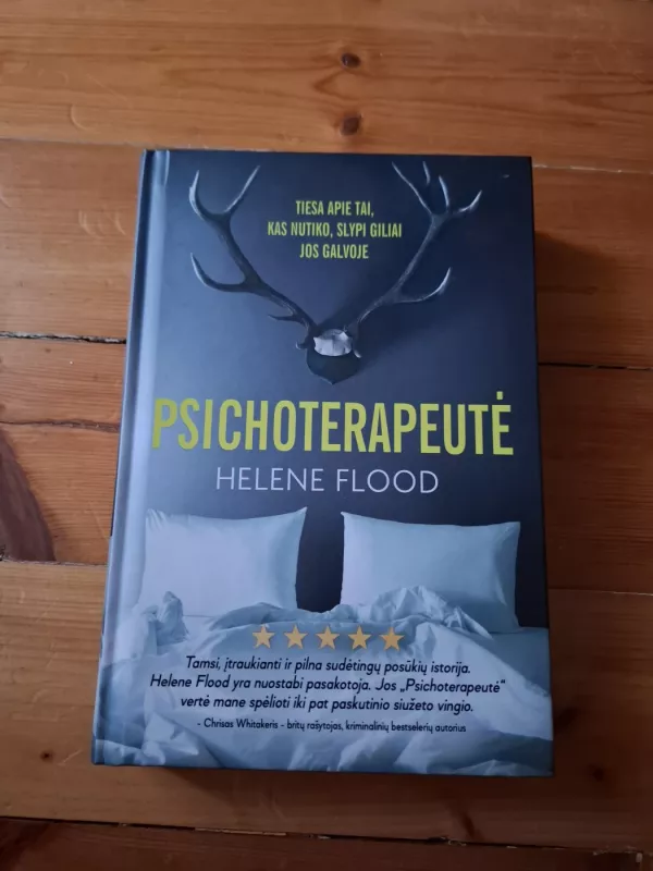 Psichoterapeutė - Helene Flood, knyga 2