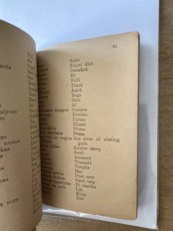 Lengvas busas iszmokt angliszkos kalbos dēl kiekvieno tik atkeliavusio isz Lietuvos - Motiejus Zukaitis, knyga 6