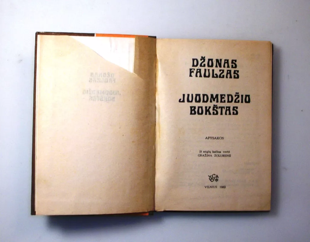 Juodmedžio bokštas - Džonas Faulzas, knyga 5