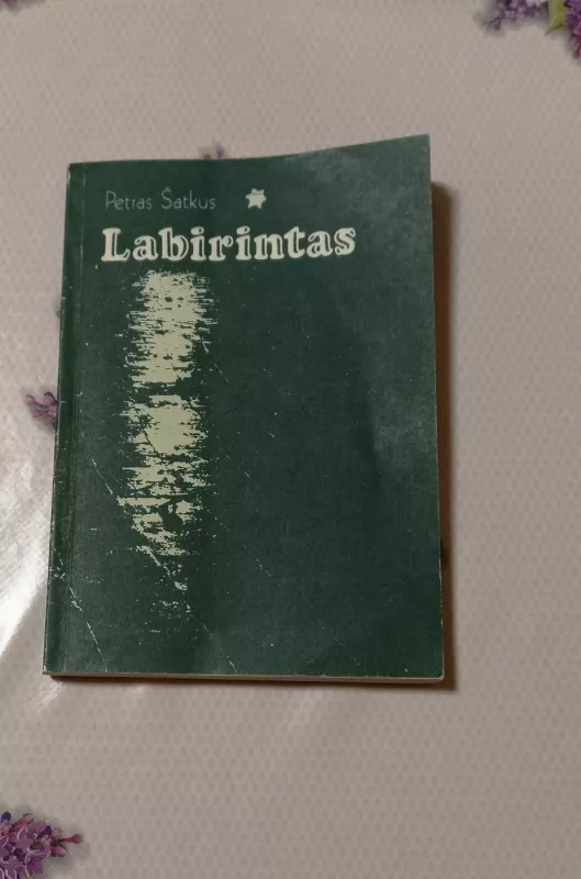 Labirintas - Petras Šatkus, knyga 2