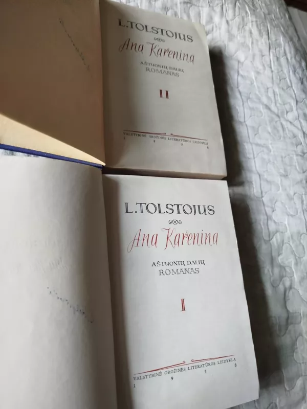 Ana Karenina (1 ir 2 dalys) - L. Tolstojus, knyga 3